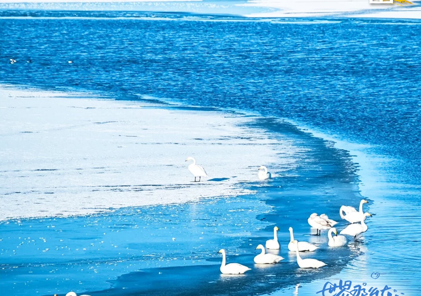 双湖7日-7座11-1月